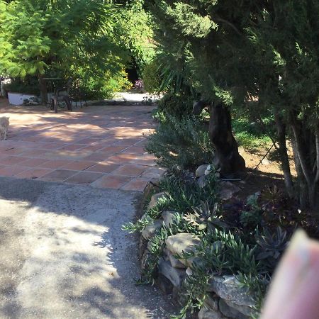 Finca El Rio, The Studio Self Catering With Pool And Hydrotherapy Jacuzzi Set In Beautiful Gardens, Guaro Bagian luar foto