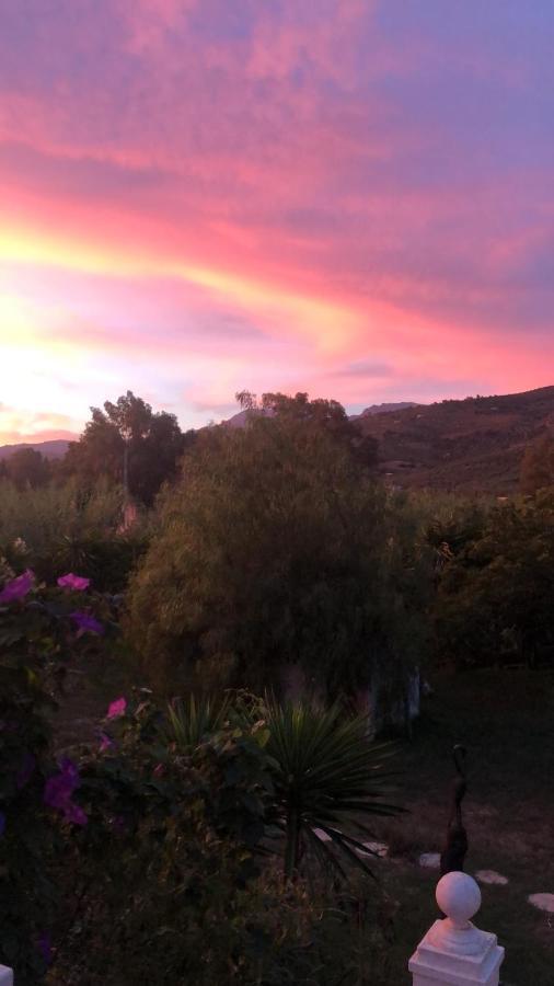 Finca El Rio, The Studio Self Catering With Pool And Hydrotherapy Jacuzzi Set In Beautiful Gardens, Guaro Bagian luar foto