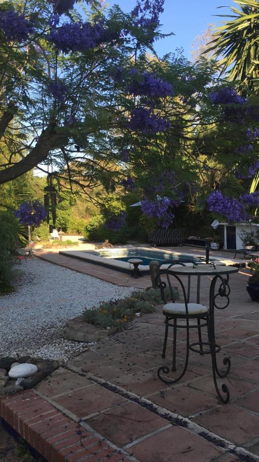 Finca El Rio, The Studio Self Catering With Pool And Hydrotherapy Jacuzzi Set In Beautiful Gardens, Guaro Bagian luar foto