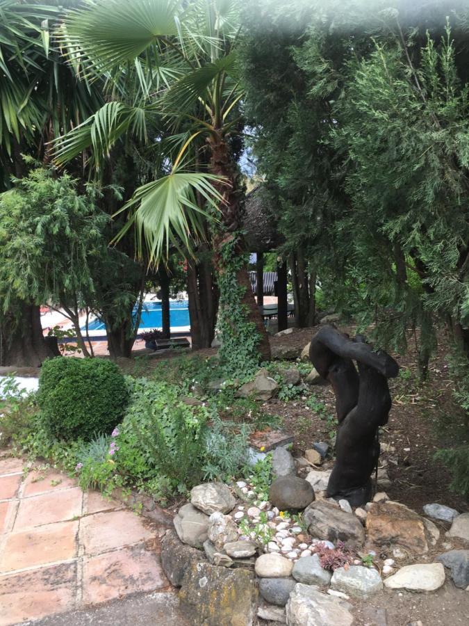 Finca El Rio, The Studio Self Catering With Pool And Hydrotherapy Jacuzzi Set In Beautiful Gardens, Guaro Bagian luar foto